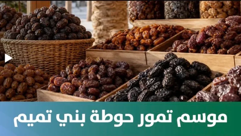 موسم تمور حوطة بني تميم: بداية جديدة للاستثمار الزراعي في المنطقة
