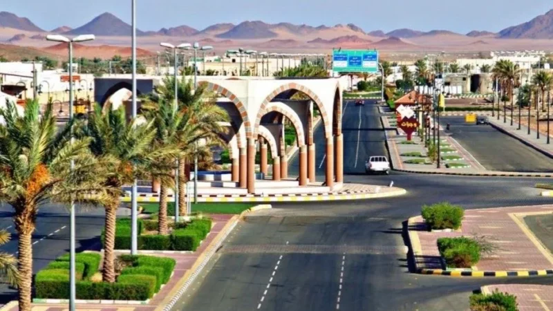 تقدّم جمعية مساجد السليمي بإنجازات رائعة في تطوير المساجد بالمحافظة